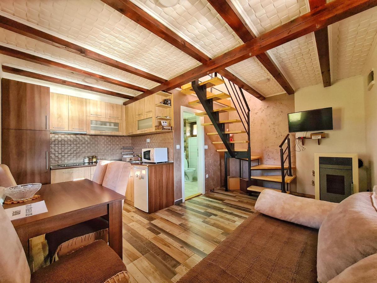 Villa Zoranovi Konaci à Jevtici Extérieur photo