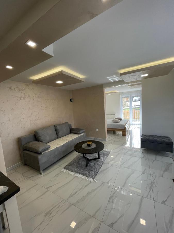 Villa Zoranovi Konaci à Jevtici Extérieur photo